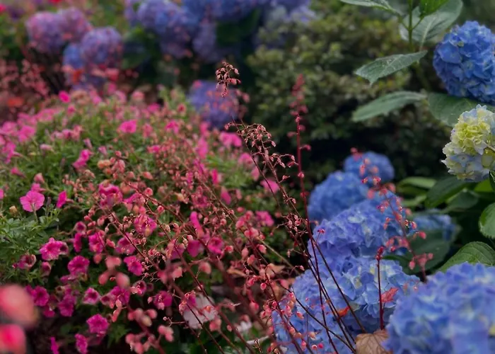 Village de vacances Zdrowotel Łeba